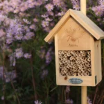 Vadméh-Hostel - Image 3