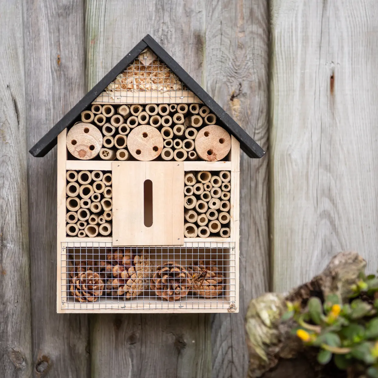 WA105_40 Lepke,katica és vadméh „hostel „L” - Image 1