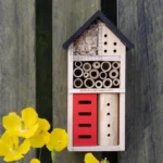 Lepke,katica és vadméh "hostel "S"