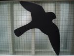 Ragadozómadár sziluett--Sólyom - fekete (20,5x31 cm) öntapadós matrica