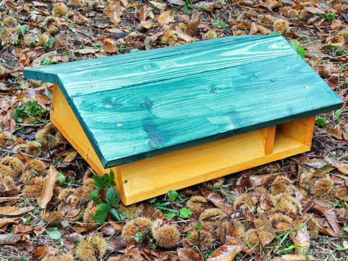 Süntanya-felnyitható tetővel - Image 3