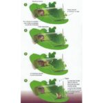 Rókakölyök kotorék csapda folytonfogó - Image 3