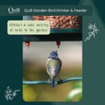 Madáretető-itató tripla funkciós - Image 2