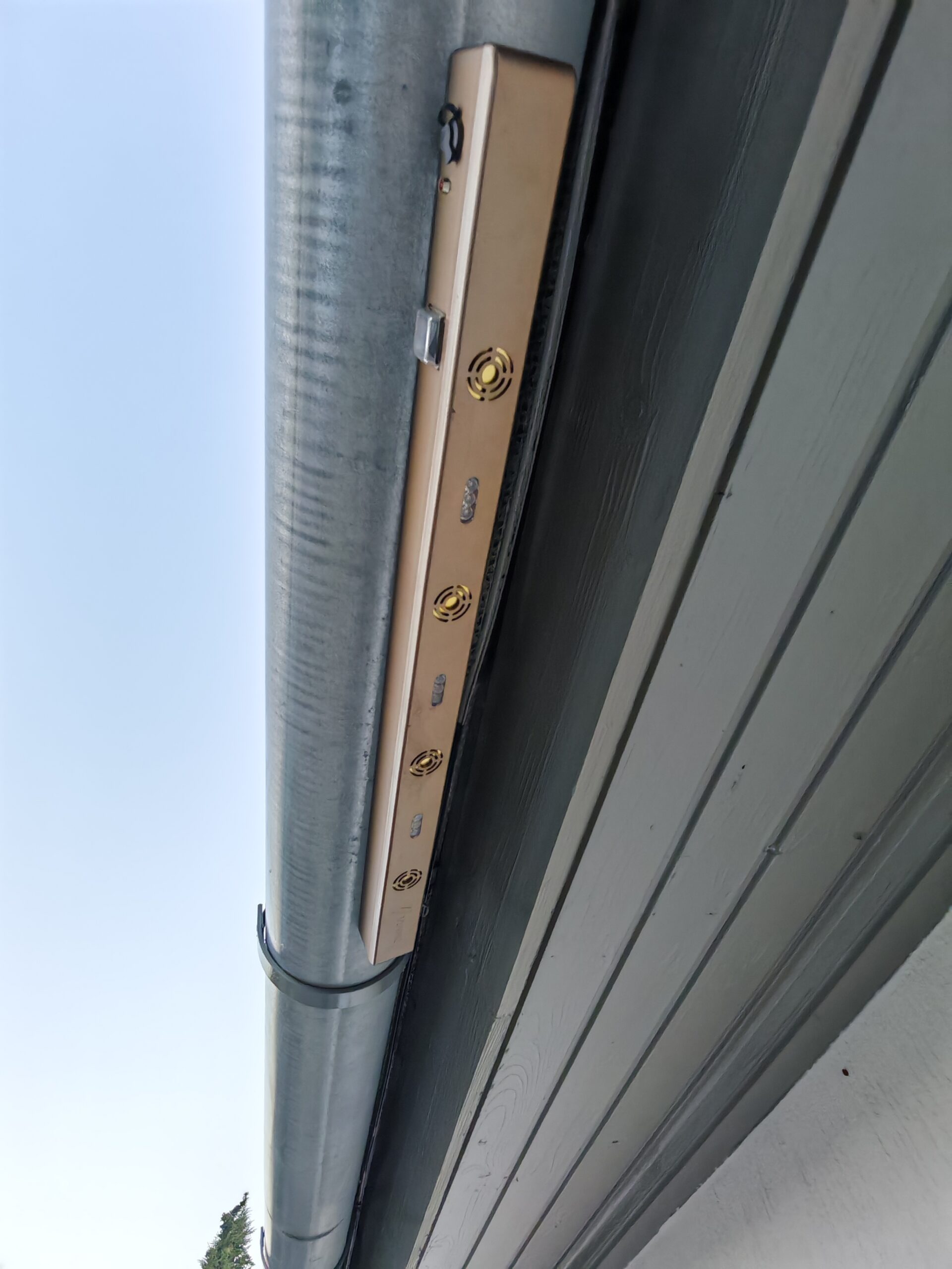 1000007779(1) Harkályés Galamb riasztó-Viano Long Gold - Image 1