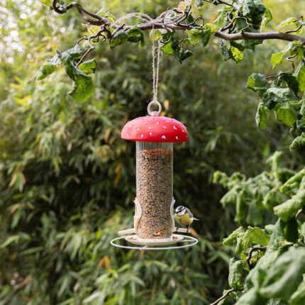 Madáretető "légyölő galóca"