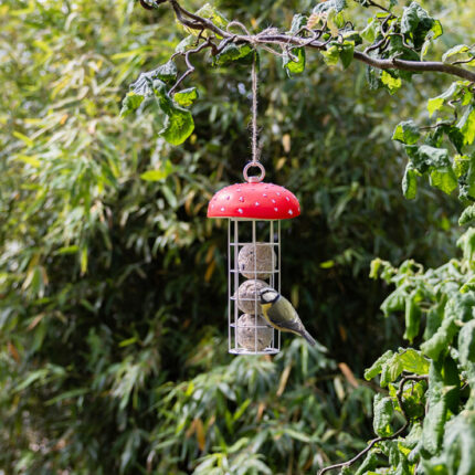 Cinkegolyó etető "légyölő galóca"