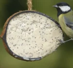 Mogyoróvaj kókuszban lisztkukacos 1/2-es extra prémium - Image 3