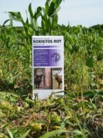 Kornitol Rot vadriasztó 1000 ml