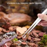 Csipesz 60 cm-hüllő/ kétéltű etetéshez