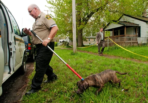 efficacy-animal-catcher-152-cm-5-feet-animal-catch-pole-dogs-monkeys-crocodiles-and-other-reptile-500x500 Kutyabefogó hurok 153 cm- gumírozott, biztonsági nyitóval (kutya, róka, borz, macska + védett állatfajok fajok biztonságos elengedéséhez) - Image 1