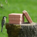 Energia blokk áfonyás 280 g- Suet To Go