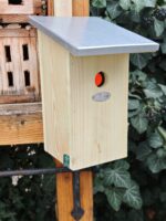 Veréb csapda-1 - Image 2