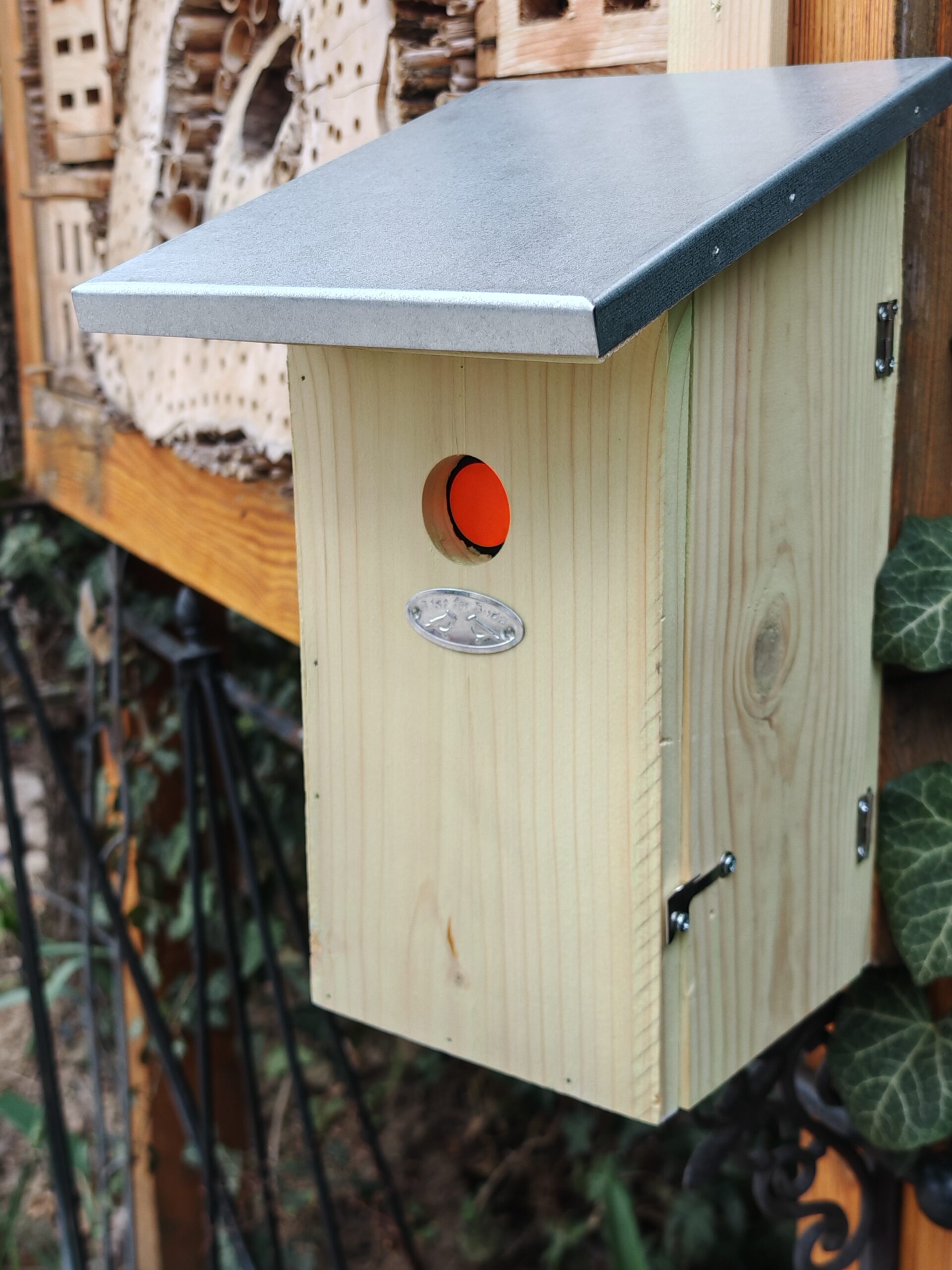 IMG_20260322_154146 Veréb csapda-1 - Image 1