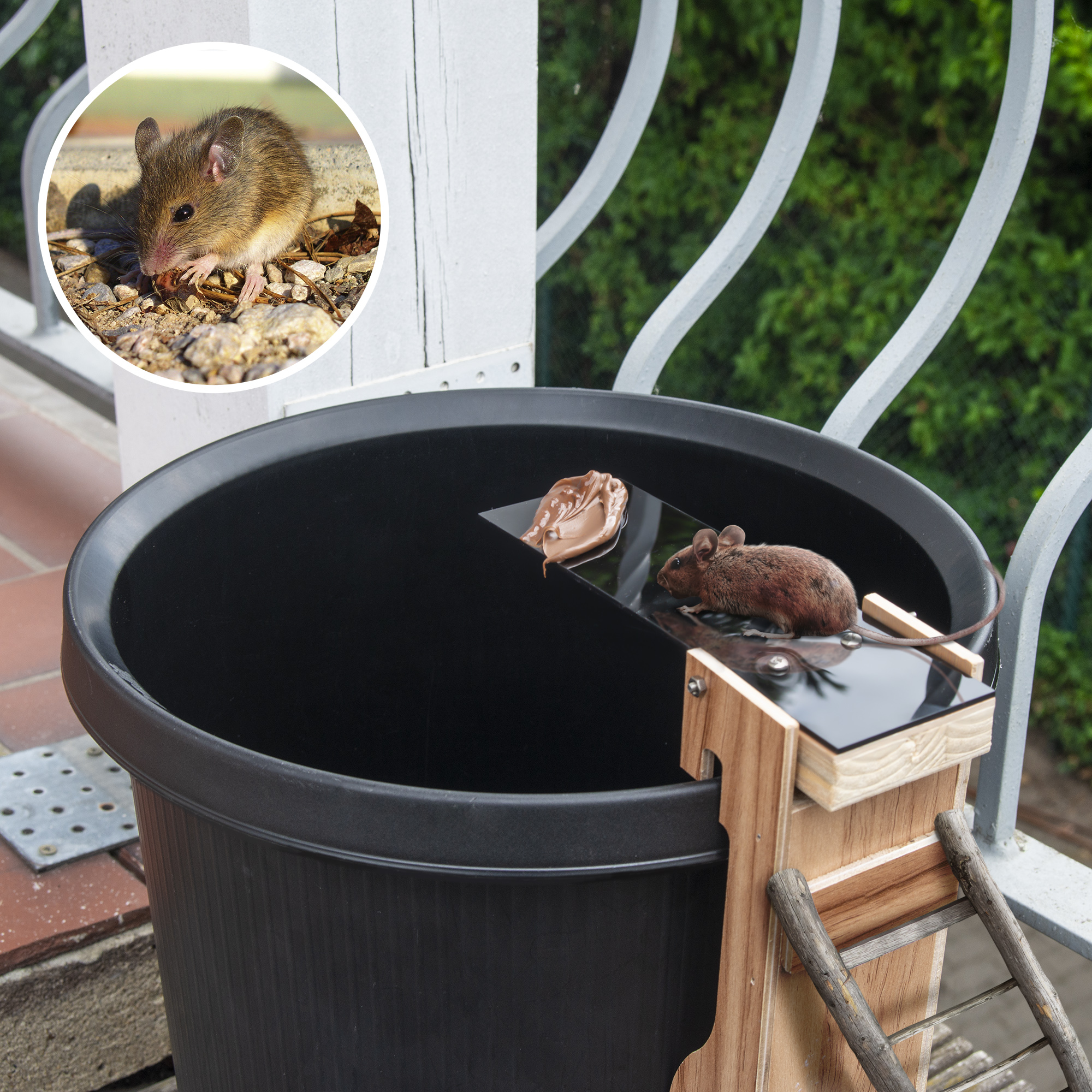 62349-maus-sprung-falle-eimerfalle-maeuseproblem Egér és patkány csapda vödörre - Image 1