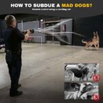 Hálólövő -NetGun Co2  madárhálóval 2,5 x2,5 cm - Image 2