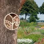 Katica Hotel Életfa - Image 3